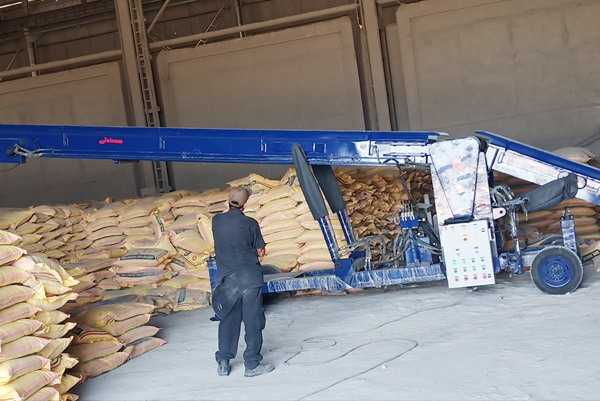 bagloader-and-stacker