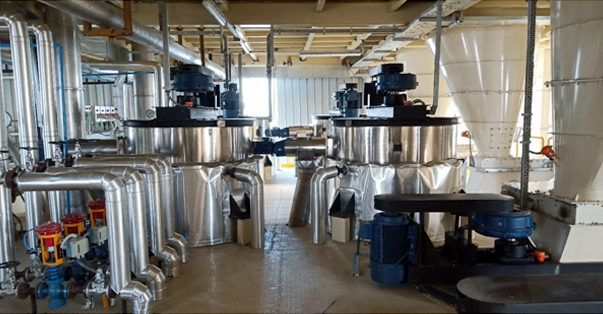 Instant Food Mix plant